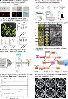 Editorial: Metabolic engineering of valuable compounds in photosynthetic organisms